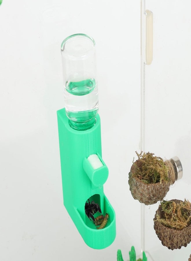 Daerky Small Animal Water Feeder, Magnetic Hanging Feeder & Hidden Cave - Accessories for Jumping Spiders, Wolf Spiders, Mantises, Arboreal Animals & Other Small Creatures - 5ML Capacity (Green) - Image 1